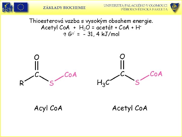 Thioesterová vazba s vysokým obsahem energie. Acetyl Co. A + H 2 O =