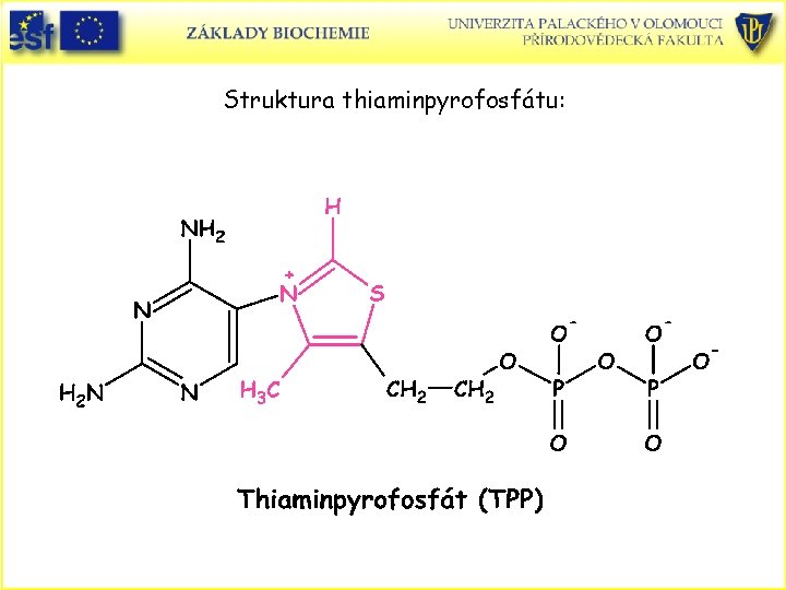 Struktura thiaminpyrofosfátu: 