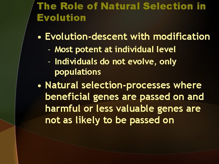 The Role of Natural Selection in Evolution • Evolution-descent with modification – Most potent