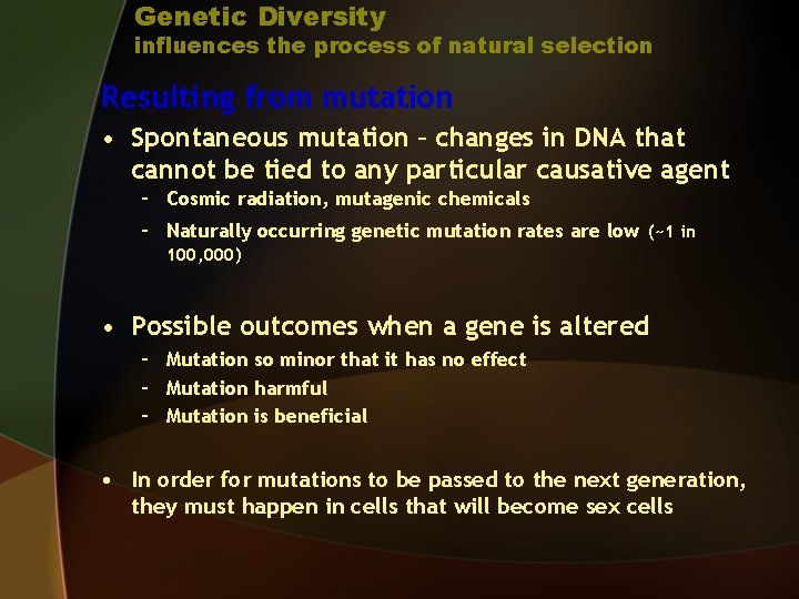 Genetic Diversity influences the process of natural selection Resulting from mutation • Spontaneous mutation