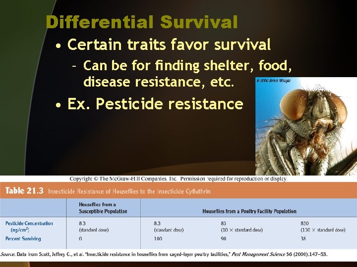 Differential Survival • Certain traits favor survival – Can be for finding shelter, food,