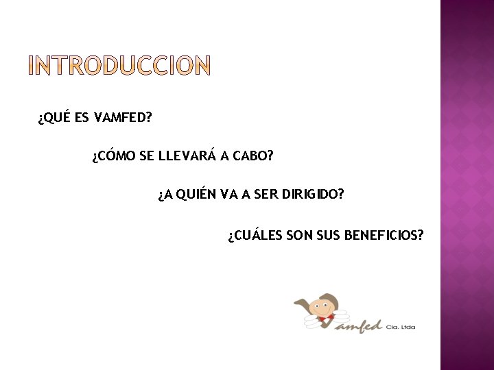 ¿QUÉ ES VAMFED? ¿CÓMO SE LLEVARÁ A CABO? ¿A QUIÉN VA A SER DIRIGIDO?