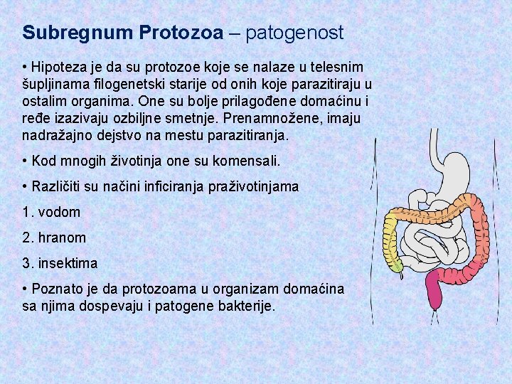 Subregnum Protozoa – patogenost • Hipoteza je da su protozoe koje se nalaze u