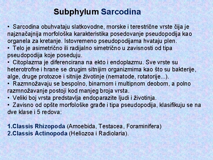 Subphylum Sarcodina • Sarcodina obuhvataju slatkovodne, morske i terestrične vrste čija je najznačajnija morfološka