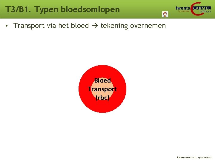 T 3/B 1. Typen bloedsomlopen • Transport via het bloed tekening overnemen Bloed Transport