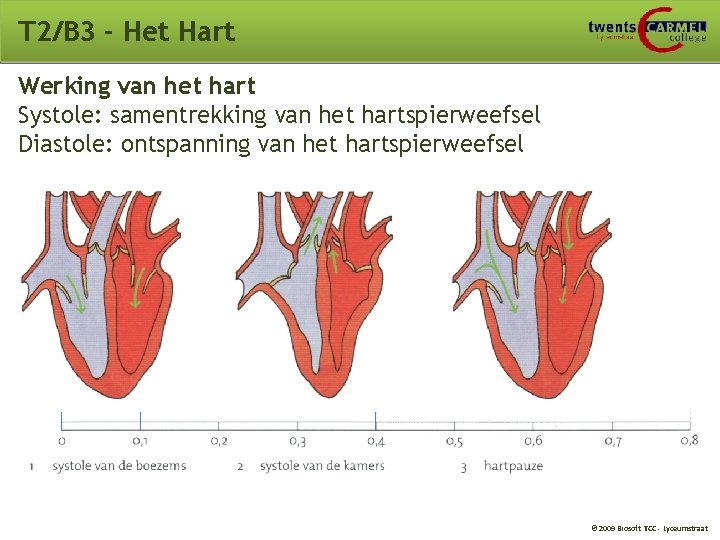 T 2/B 3 - Het Hart Werking van het hart Systole: samentrekking van het