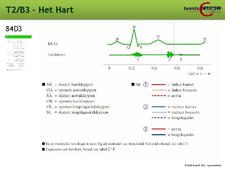 T 2/B 3 - Het Hart 84 D 3 © 2009 Biosoft TCC -