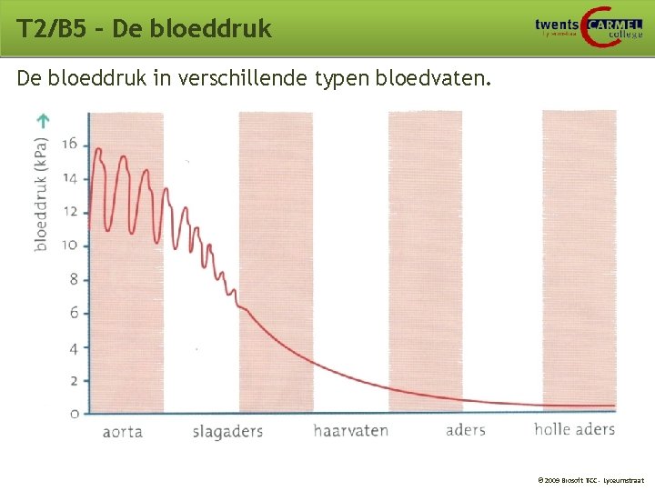 T 2/B 5 – De bloeddruk in verschillende typen bloedvaten. © 2009 Biosoft TCC