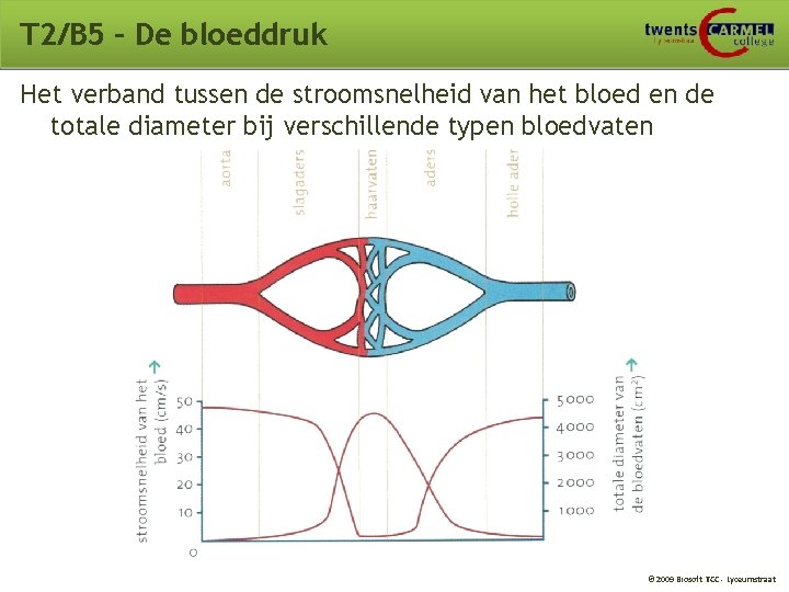 T 2/B 5 – De bloeddruk Het verband tussen de stroomsnelheid van het bloed