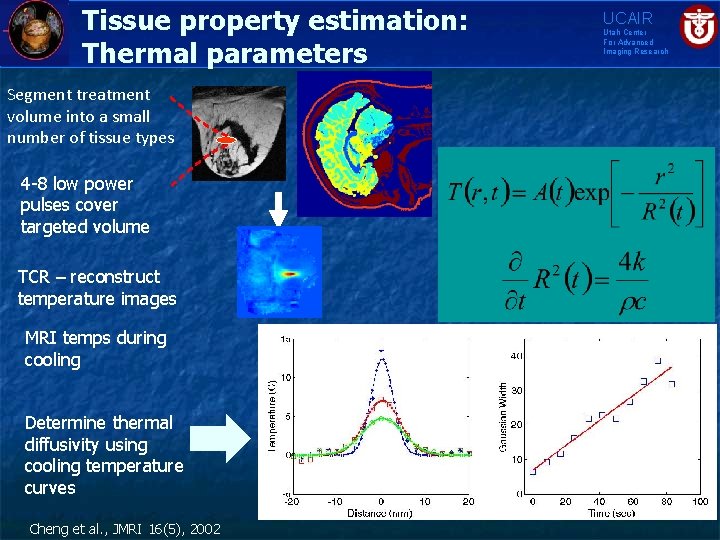 Tissue property estimation: Thermal parameters Segment treatment volume into a small number of tissue