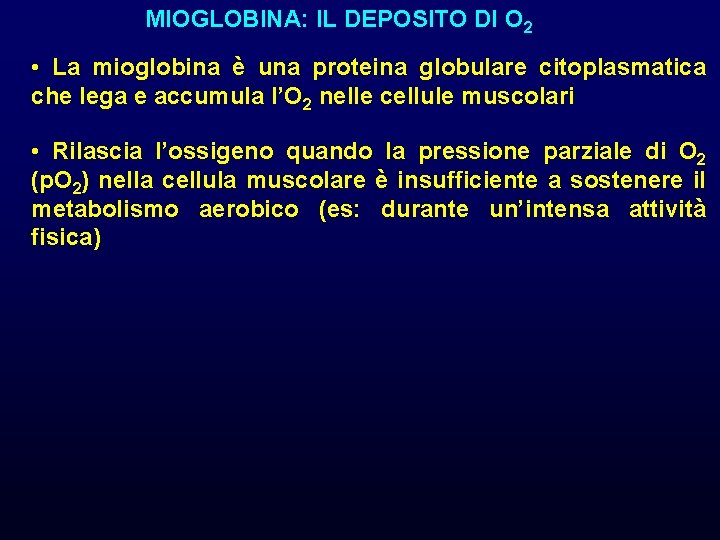 MIOGLOBINA: IL DEPOSITO DI O 2 • La mioglobina è una proteina globulare citoplasmatica