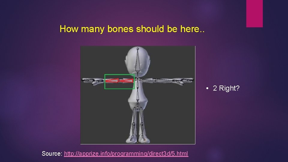 How many bones should be here. . • 2 Right? Source: http: //apprize. info/programming/direct