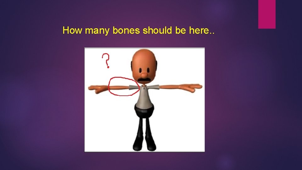 How many bones should be here. . 