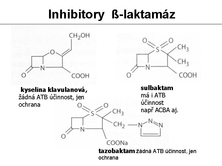 Inhibitory ß-laktamáz sulbaktam má i ATB účinnost např ACBA aj. kyselina klavulanová, žádná ATB
