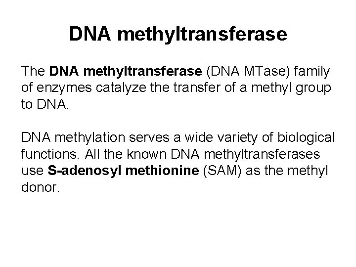 DNA methyltransferase The DNA methyltransferase (DNA MTase) family of enzymes catalyze the transfer of