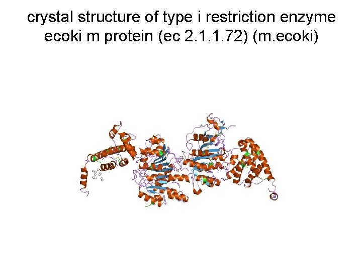 crystal structure of type i restriction enzyme ecoki m protein (ec 2. 1. 1.