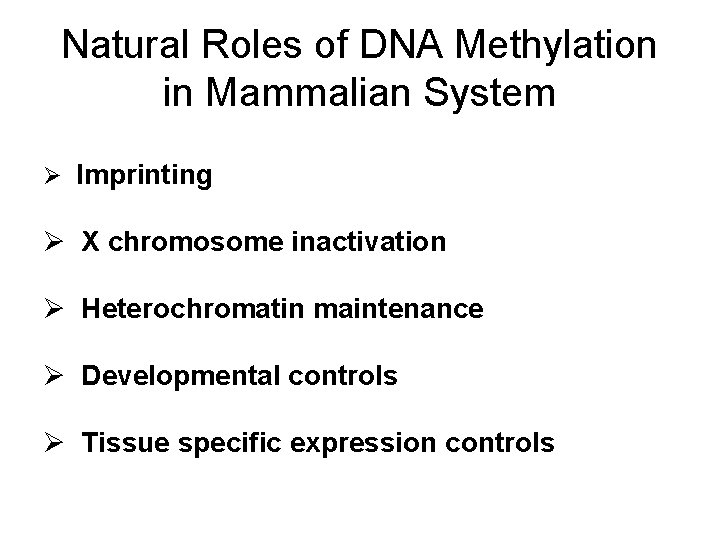 Natural Roles of DNA Methylation in Mammalian System Ø Imprinting Ø X chromosome inactivation