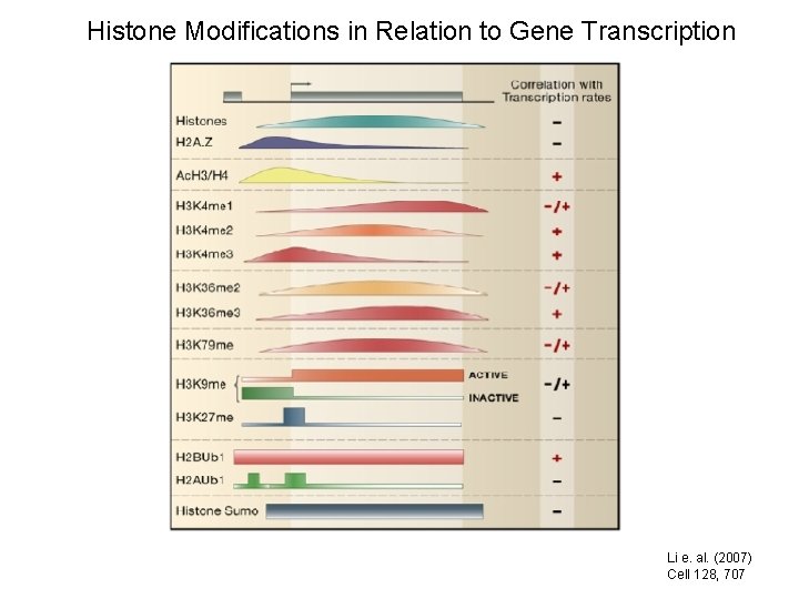 Histone Modifications in Relation to Gene Transcription Li e. al. (2007) Cell 128, 707