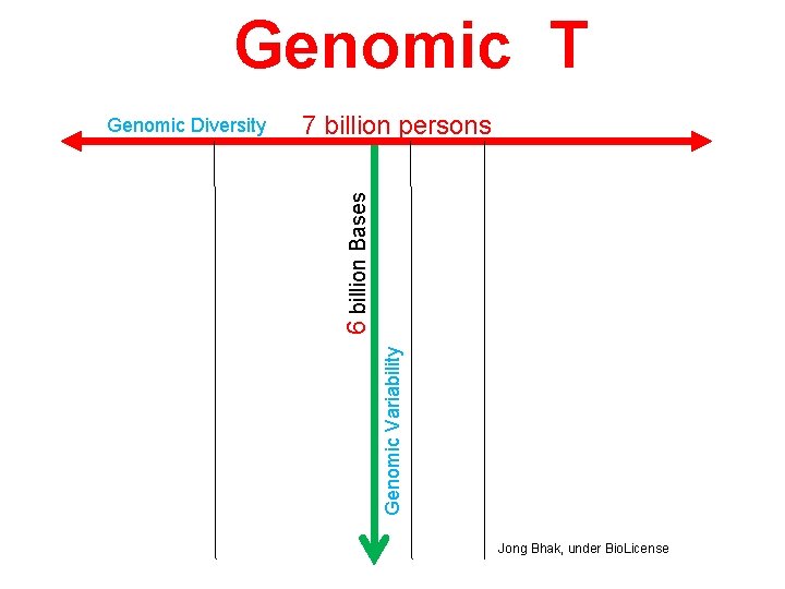 Genomic T 7 billion persons Genomic Variability 6 billion Bases Genomic Diversity Jong Bhak,