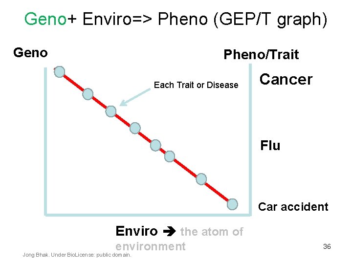 Geno+ Enviro=> Pheno (GEP/T graph) Geno Pheno/Trait Each Trait or Disease Cancer Flu Car