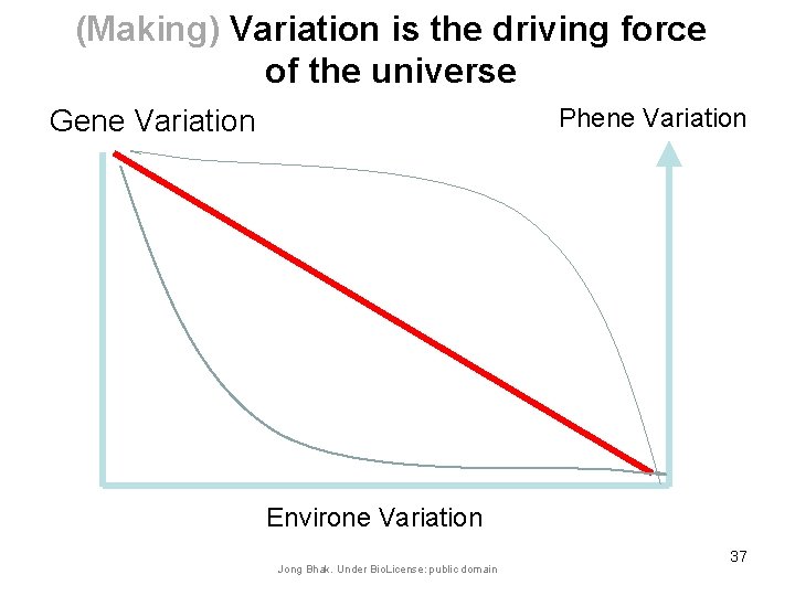 (Making) Variation is the driving force of the universe Phene Variation Gene Variation Environe