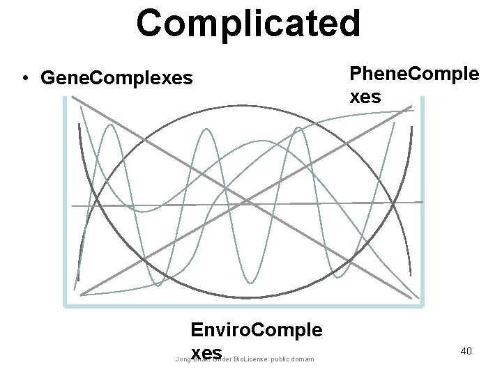 Complicated • Gene. Complexes Enviro. Comple xes Jong Bhak. Under Bio. License: public domain