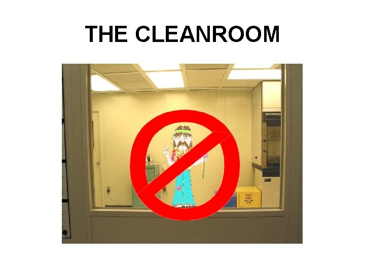 THE CLEANROOM 