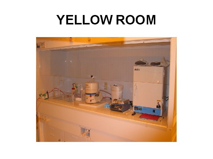 YELLOW ROOM 