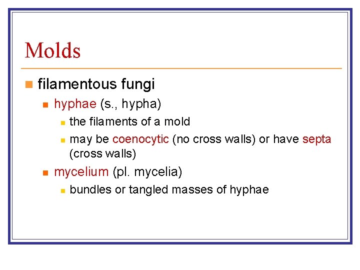 Molds n filamentous fungi n hyphae (s. , hypha) n n n the filaments