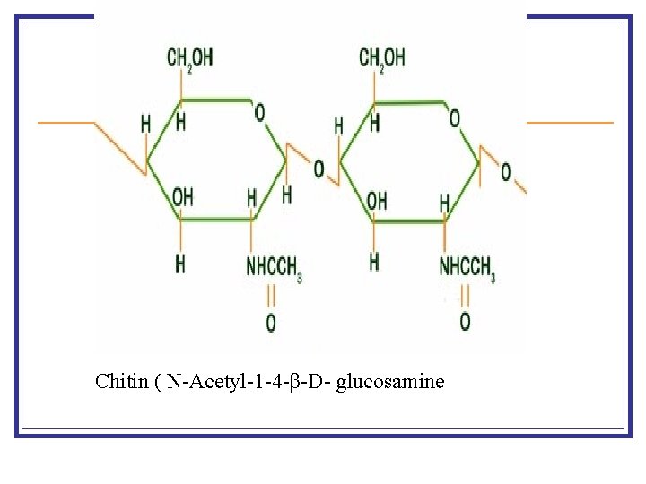 Chitin ( N-Acetyl-1 -4 -β-D- glucosamine 