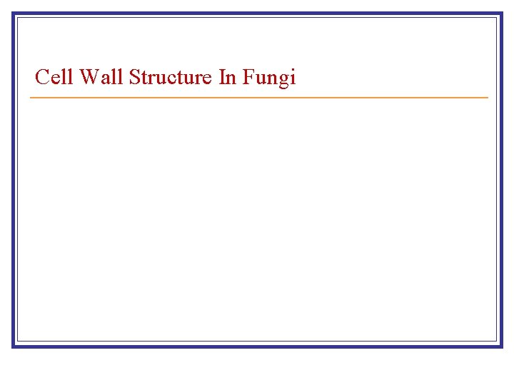 Cell Wall Structure In Fungi 