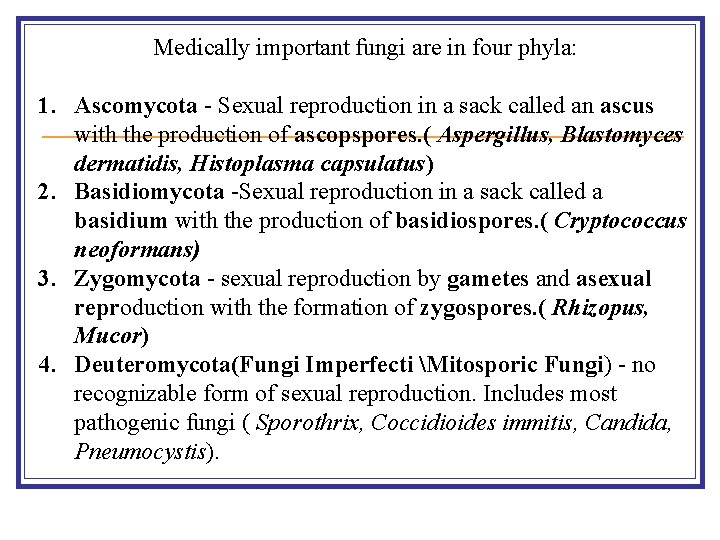 Medically important fungi are in four phyla: 1. Ascomycota - Sexual reproduction in a