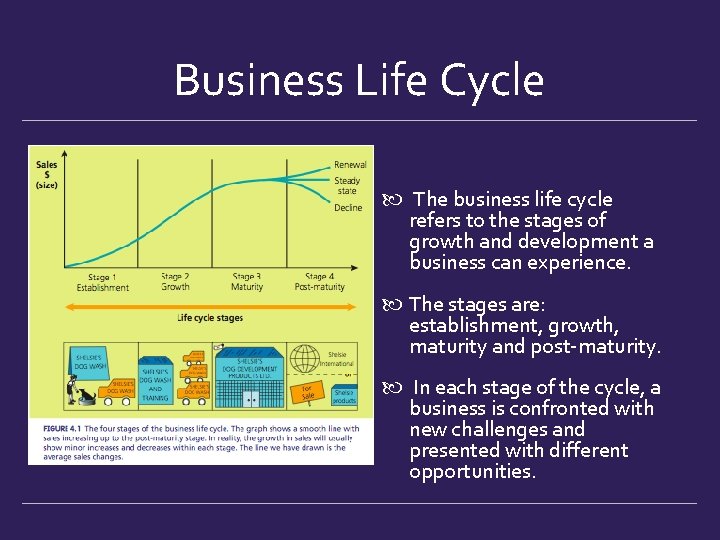 Business Life Cycle The business life cycle refers to the stages of growth and