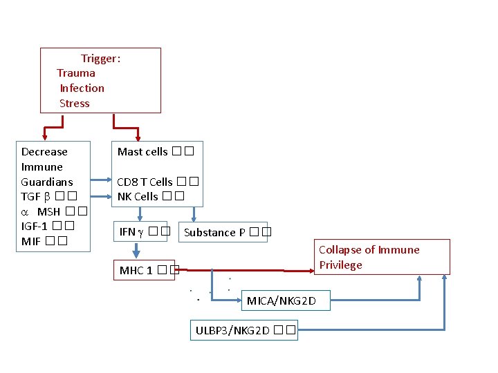 Trigger: Trauma Infection Stress Decrease Immune Guardians TGF b �� a MSH �� IGF-1