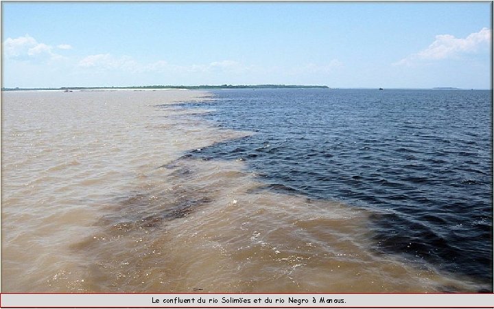 Le confluent du rio Solimöes et du rio Negro à Manaus. 