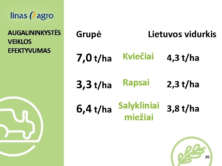 AUGALININKYSTĖS VEIKLOS EFEKTYVUMAS Grupė Lietuvos vidurkis 7, 0 t/ha Kviečiai 4, 3 t/ha 3,