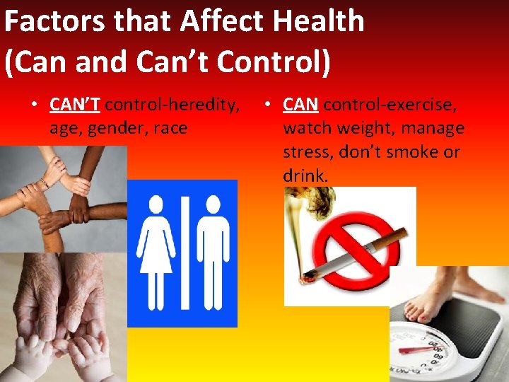 Factors that Affect Health (Can and Can’t Control) • CAN’T control-heredity, age, gender, race