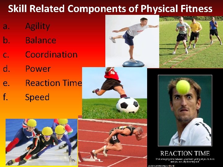 Skill Related Components of Physical Fitness a. b. c. d. e. f. Agility Balance