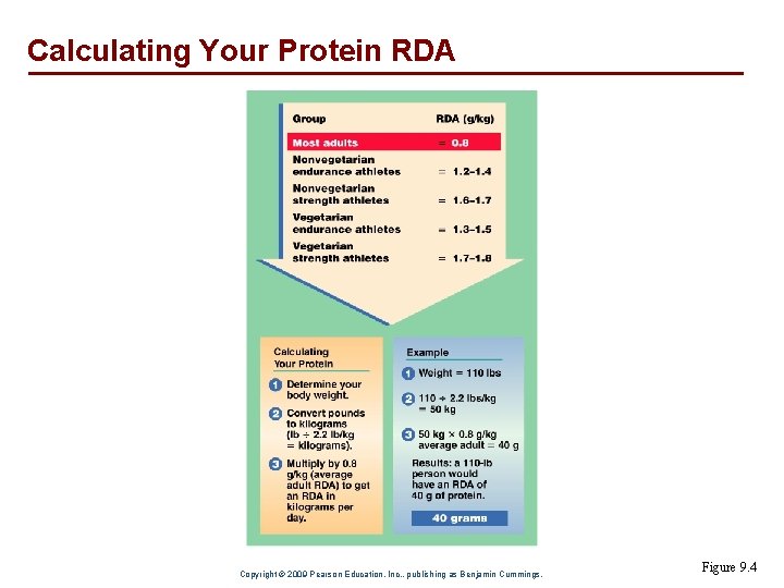 Calculating Your Protein RDA Copyright © 2009 Pearson Education, Inc. , publishing as Benjamin