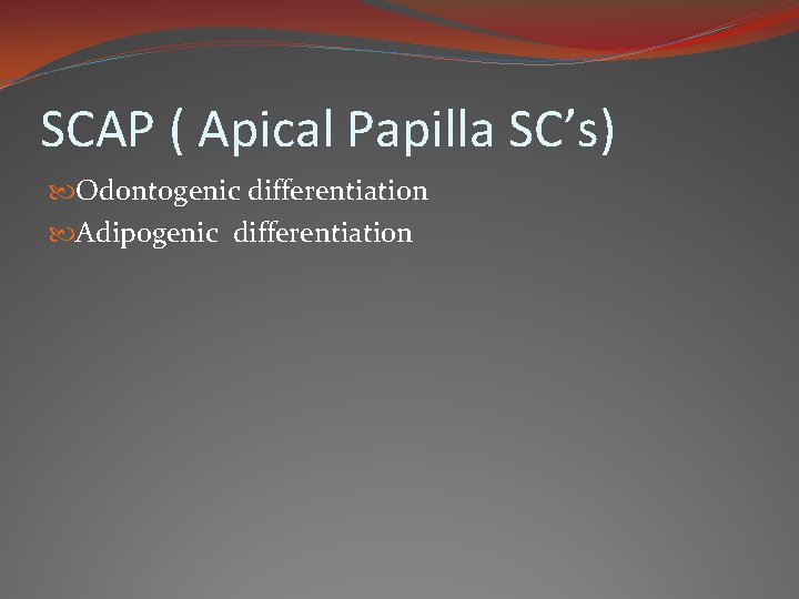 SCAP ( Apical Papilla SC’s) Odontogenic differentiation Adipogenic differentiation 