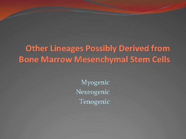 Other Lineages Possibly Derived from Bone Marrow Mesenchymal Stem Cells Myogenic Neurogenic Tenogenic 