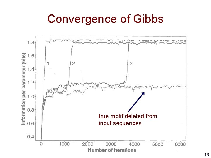 Convergence of Gibbs true motif deleted from input sequences 16 