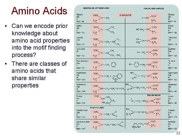 Amino Acids • Can we encode prior knowledge about amino acid properties into the
