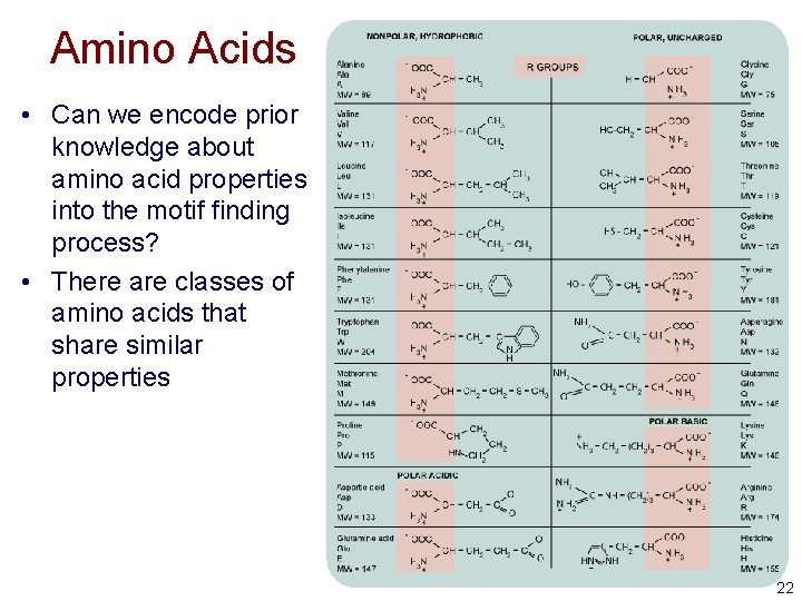 Amino Acids • Can we encode prior knowledge about amino acid properties into the Amino Acids • Can we encode prior knowledge about amino acid properties into the