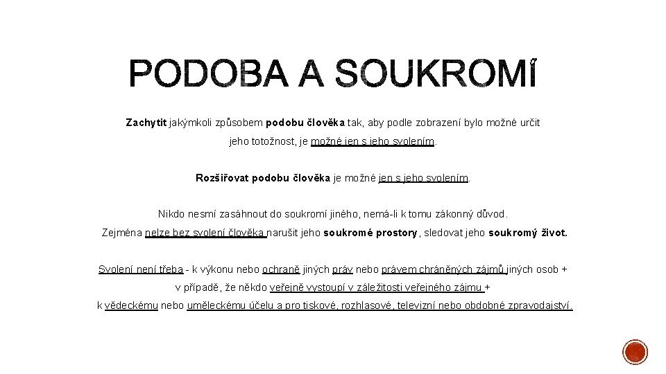 Zachytit jakýmkoli způsobem podobu člověka tak, aby podle zobrazení bylo možné určit jeho totožnost,