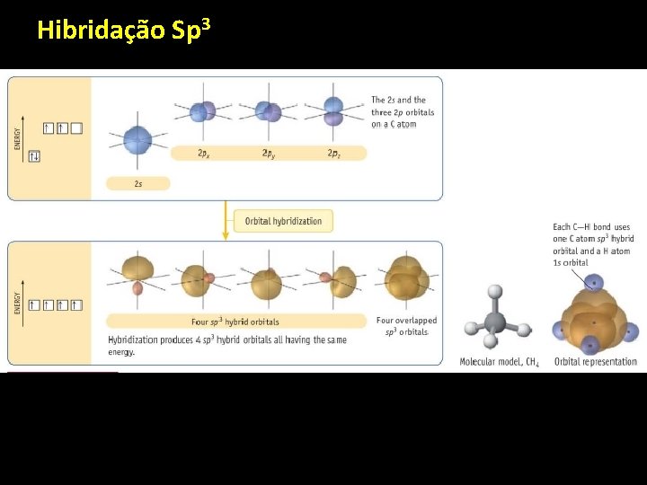 Hibridação Sp 3 