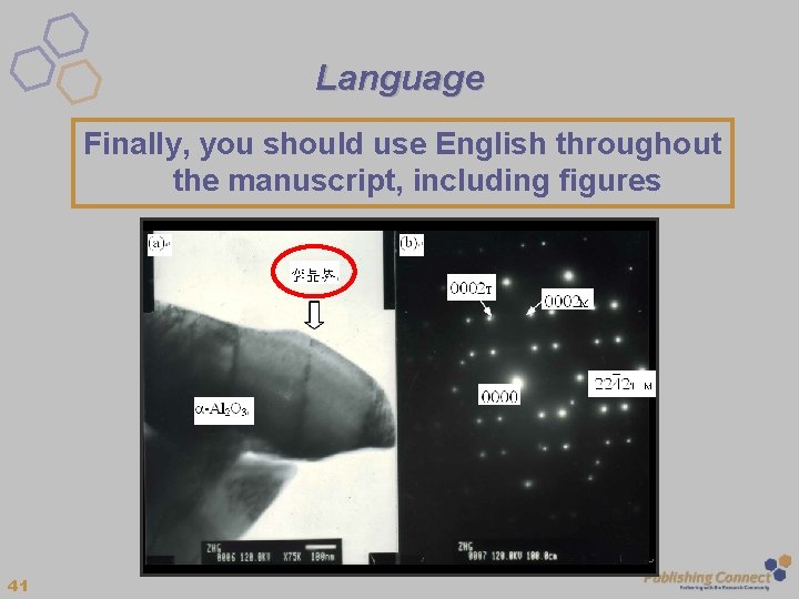 Language Finally, you should use English throughout the manuscript, including figures 41 