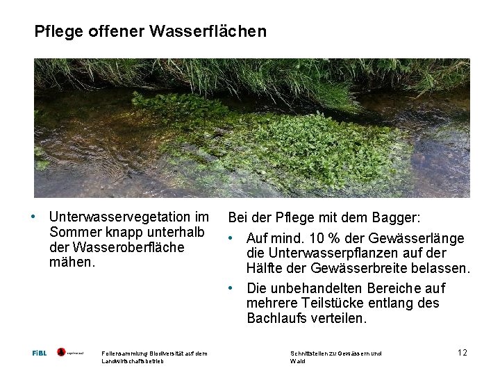 Pflege offener Wasserflächen • Unterwasservegetation im Bei der Pflege mit dem Bagger: Sommer knapp