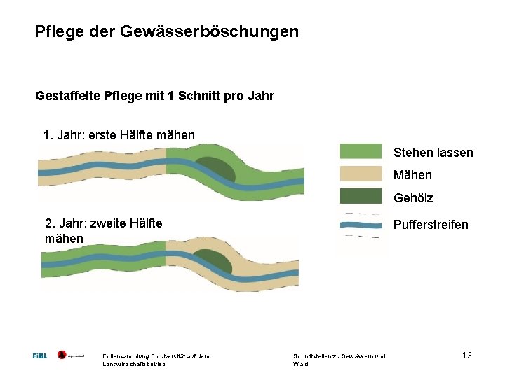 Pflege der Gewässerböschungen Gestaffelte Pflege mit 1 Schnitt pro Jahr 1. Jahr: erste Hälfte