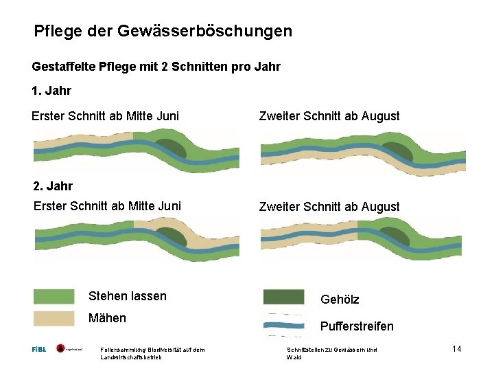 Pflege der Gewässerböschungen Gestaffelte Pflege mit 2 Schnitten pro Jahr 1. Jahr Erster Schnitt